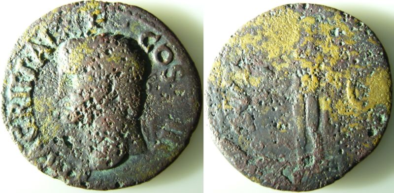 My-New-Coins.