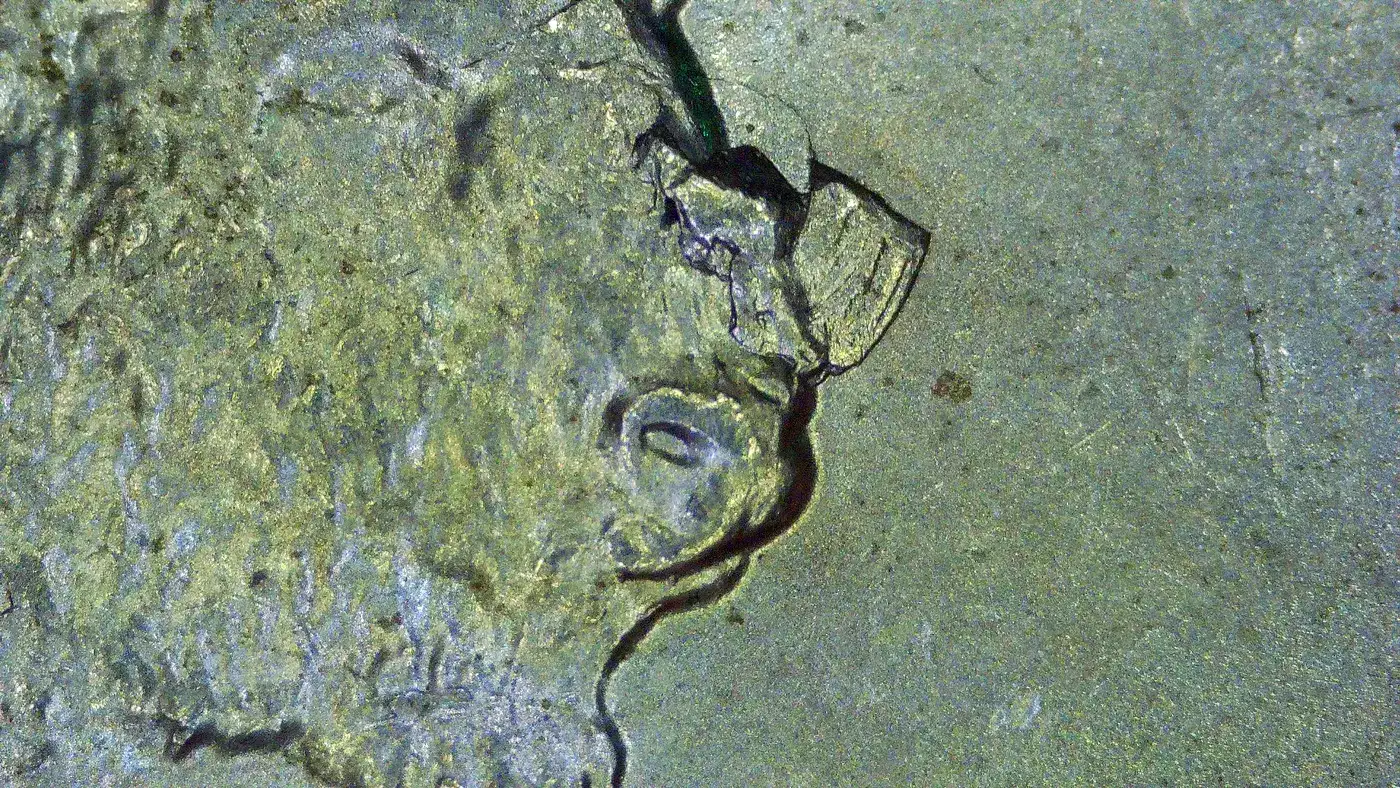 2005-P-Kansas-Quarter---Die-Chip