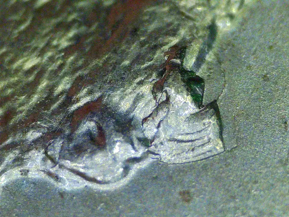 2005-P-Kansas-Quarter---Die-Chip