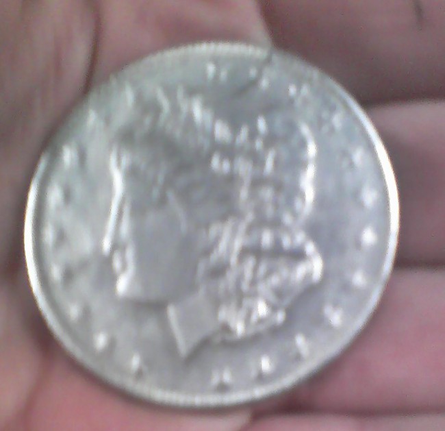 These-Aren't-Morgans.-What-The-Heck-Are-They?