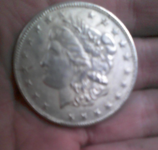These-Aren't-Morgans.-What-The-Heck-Are-They?