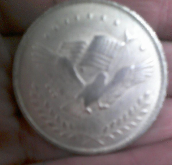 These-Aren't-Morgans.-What-The-Heck-Are-They?