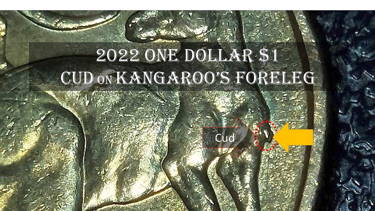 Australia-2022-$1-Mob-Of-Roo---Cud-On-Kangaroo-Variety