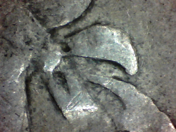 Vicky-50c-Coin-Grading-And-Variety