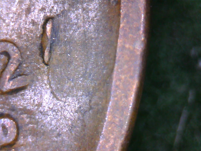 Another-Crazy-Wheat,-192?-D