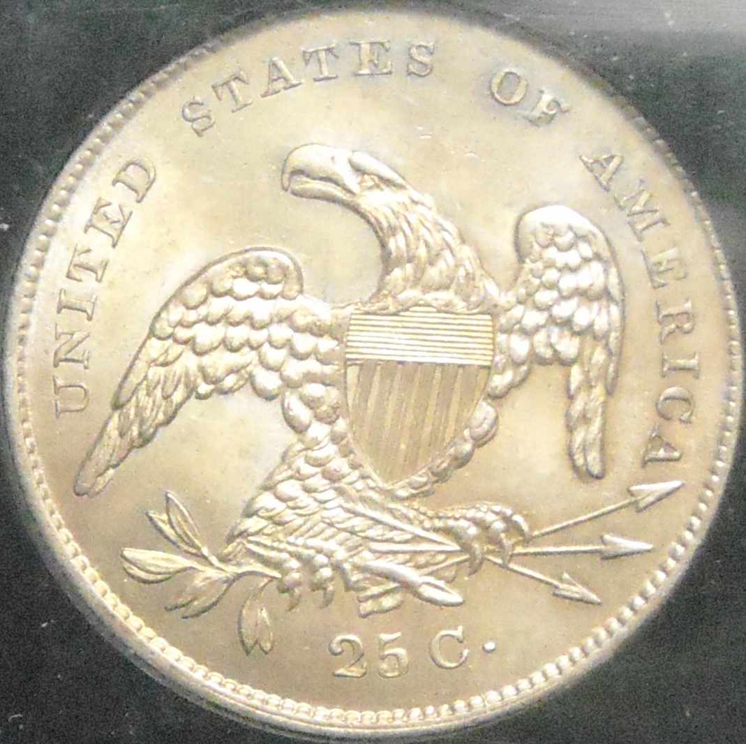 Please-Grade-This-1831-CBQ