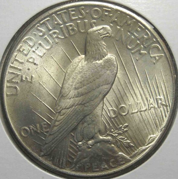Please-Grade-This-1925-Peace-Dollar