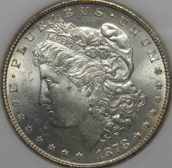 Pls-Grade-This-1878-S-Morgan