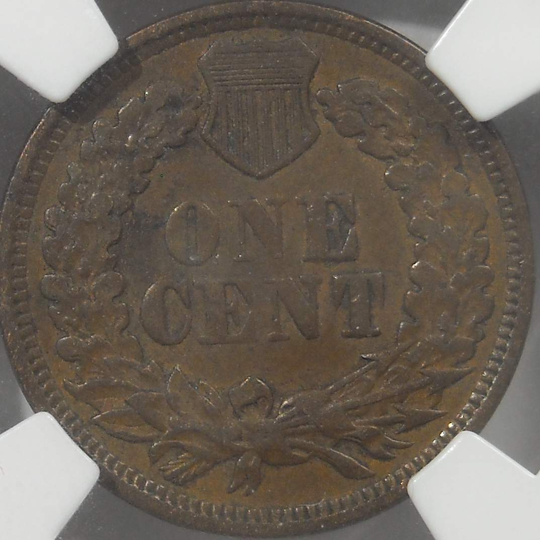 The-51-Days-Of-Indian-Head-Cents-II-With-A-Fe-Cents-Prelude