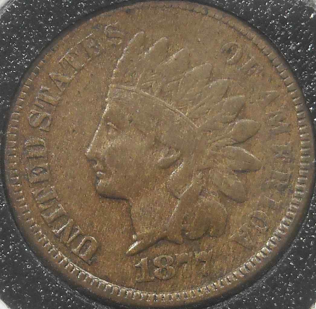 1877-IHC-Opinions-Pls