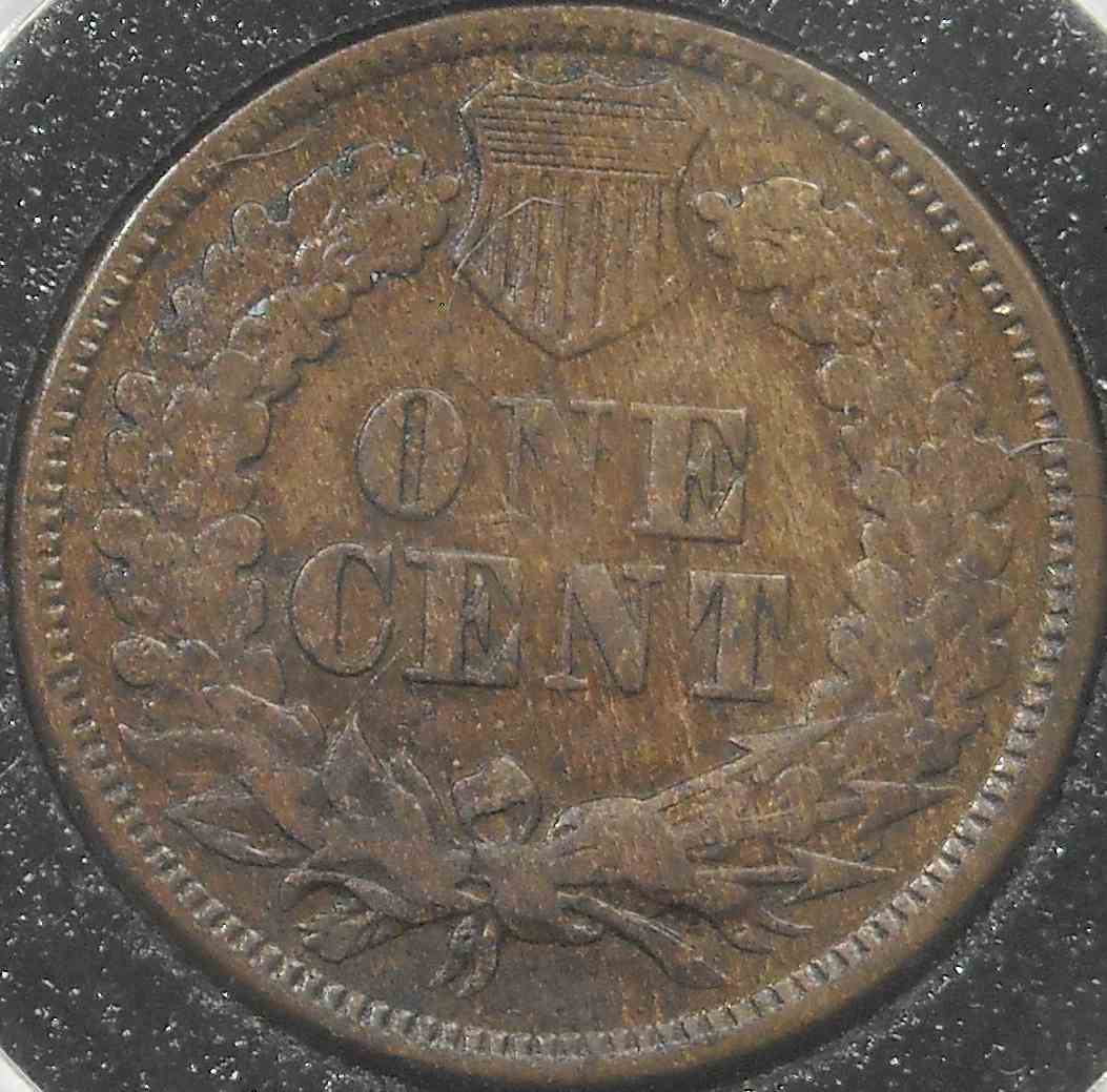 1877-IHC-Opinions-Pls