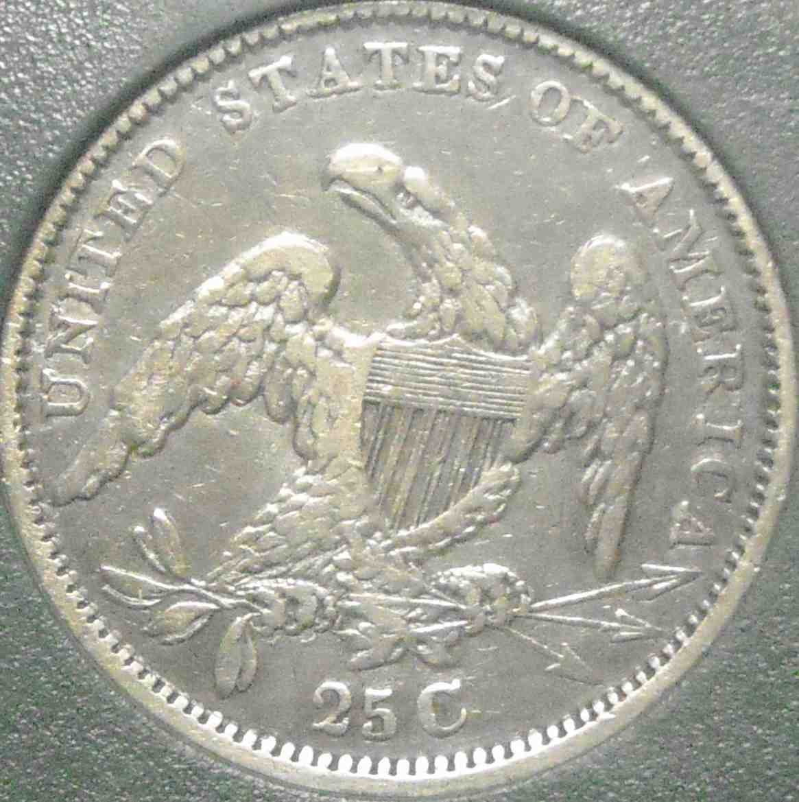 1833-CBQ-Too