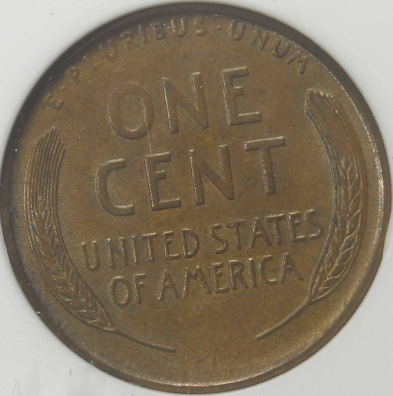 1910-S-LWC-You-Vs.-ANACS