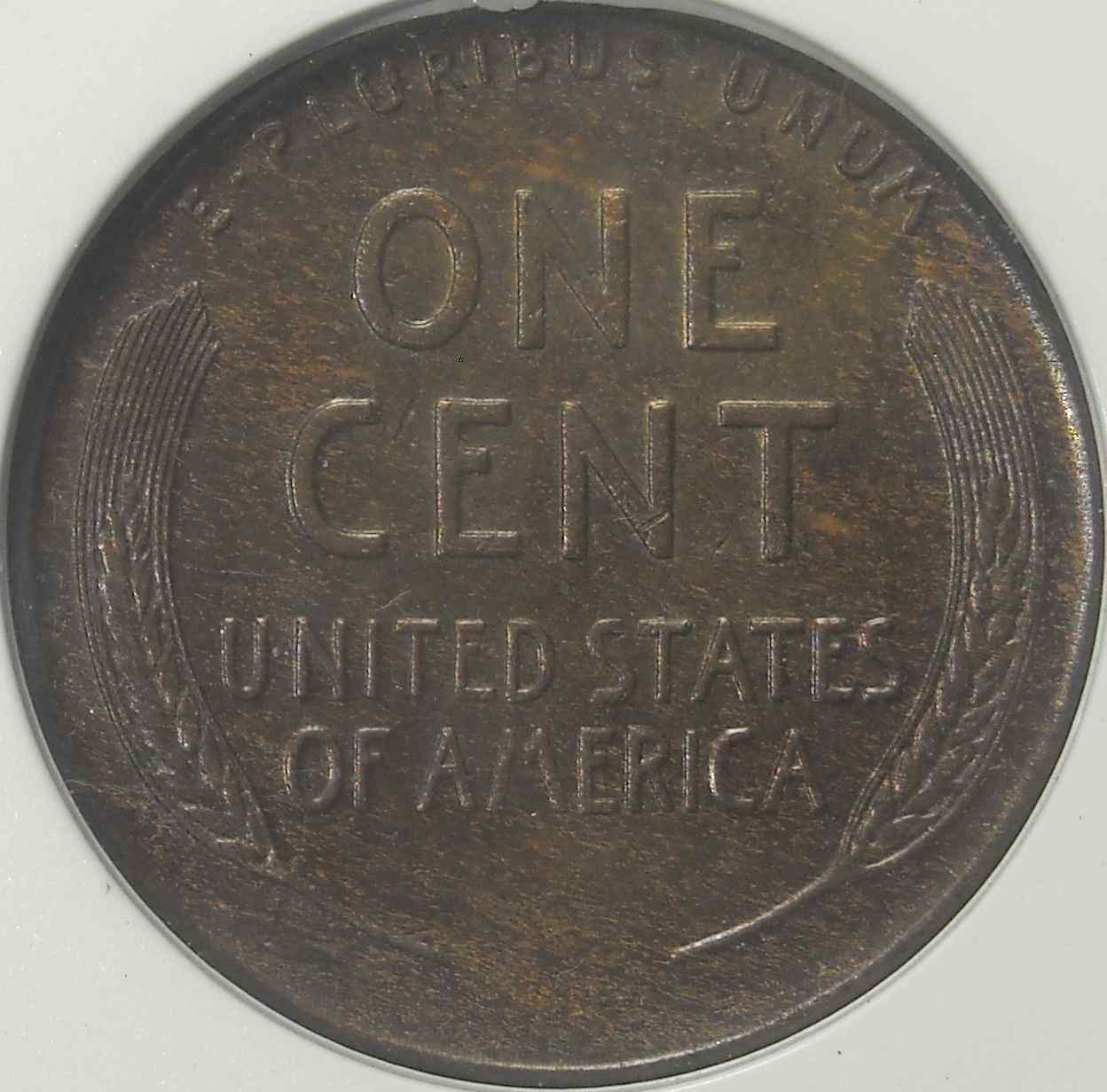 1920-S-LWC-You-Vs.-ANACS