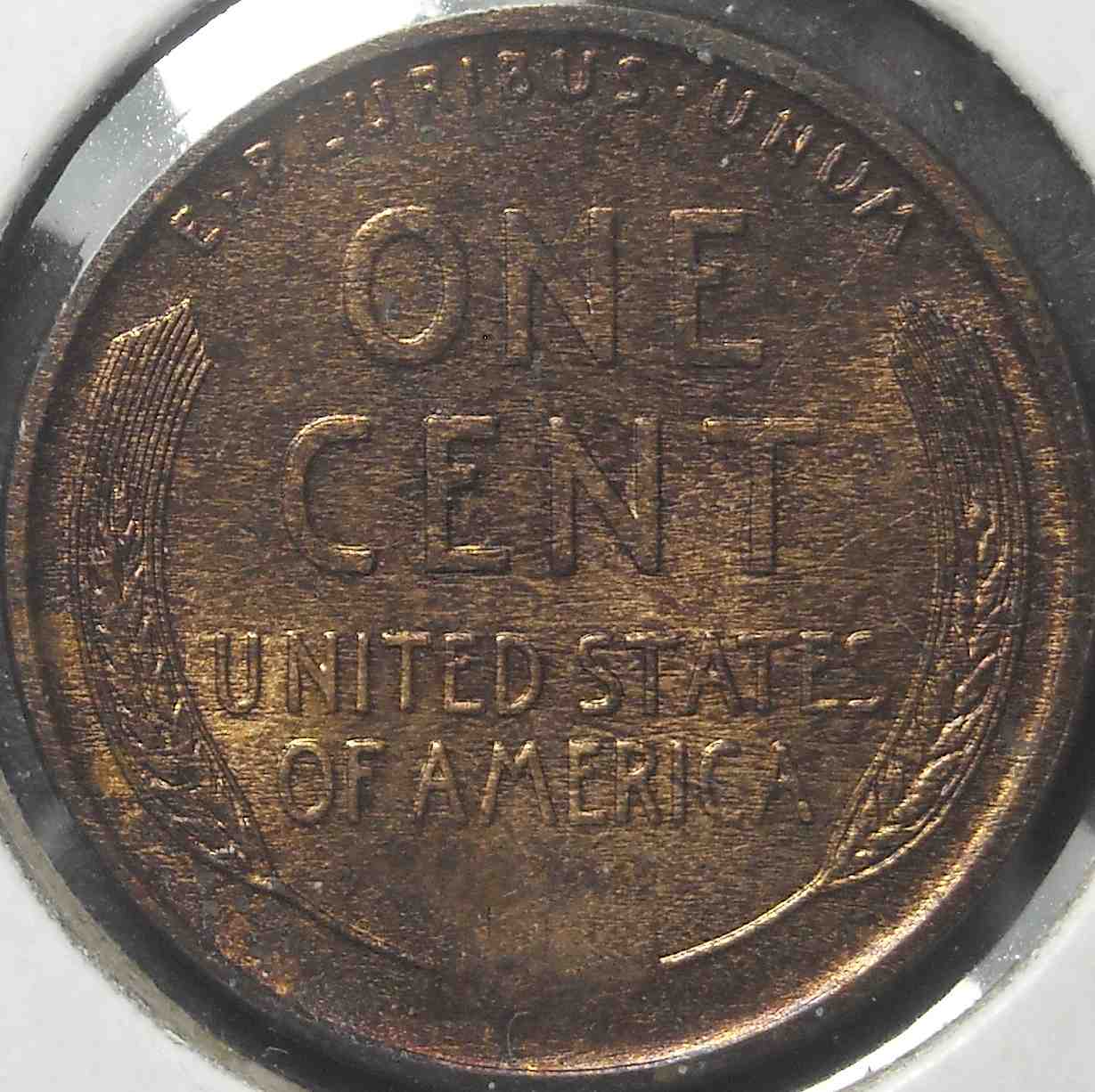 LWC-1909-Grade-Opinions-Wanted