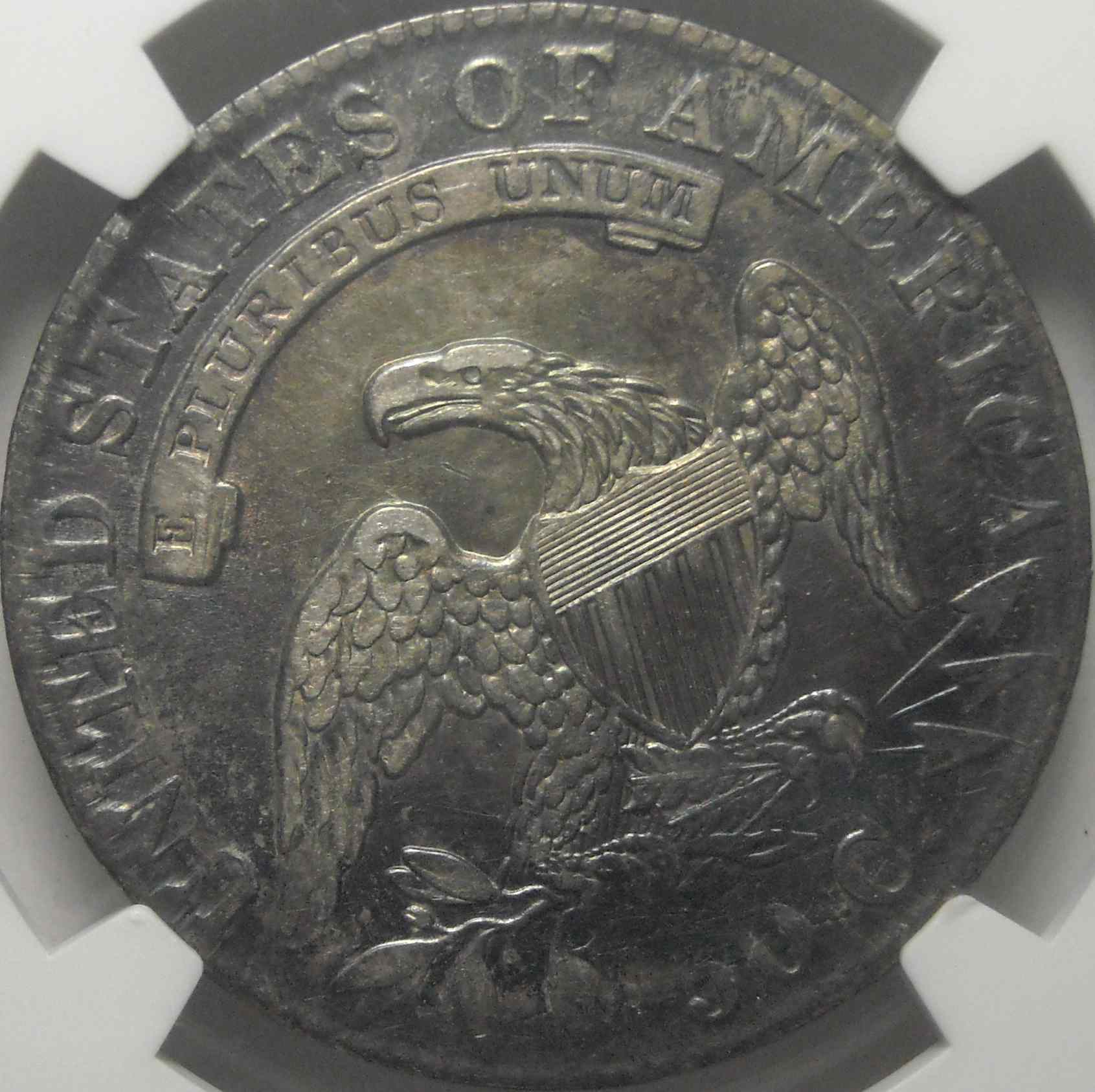 32-Day-Extravaganza-Of-Capped-Bust-Coins!!