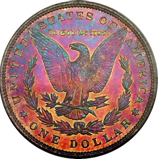 1896-Amazingly-Toned-Morgan-Must-See-Before-You-Die