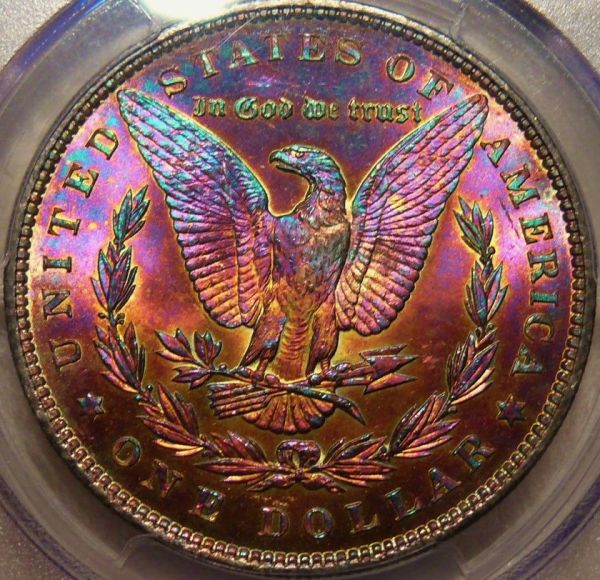 1896-Amazingly-Toned-Morgan-Must-See-Before-You-Die