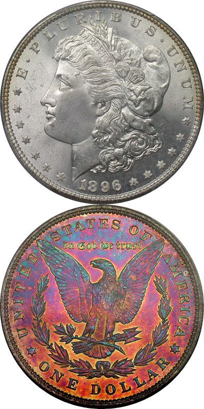 1896-Amazingly-Toned-Morgan-Must-See-Before-You-Die