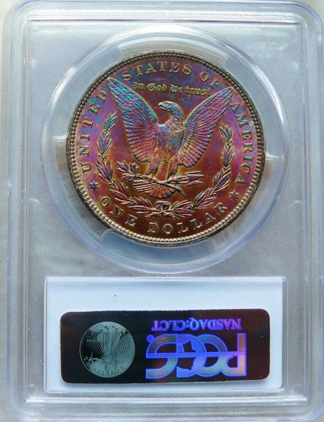 1896-Amazingly-Toned-Morgan-Must-See-Before-You-Die