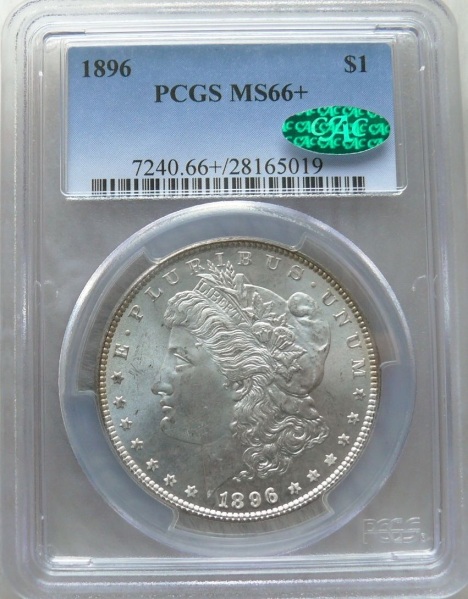 1896-Amazingly-Toned-Morgan-Must-See-Before-You-Die