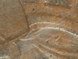 1864-2-Cent---Small-Motto?