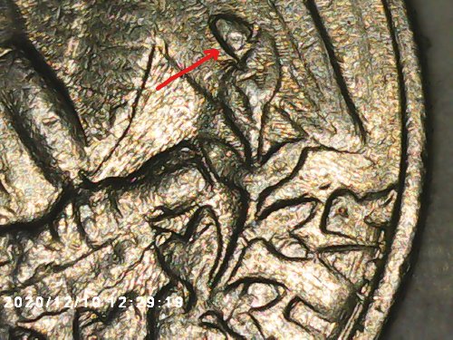 I-Believe-I-Have-An-Extra-Leaf-On-This-1985-Quarter,-Know-Anything-About-It?