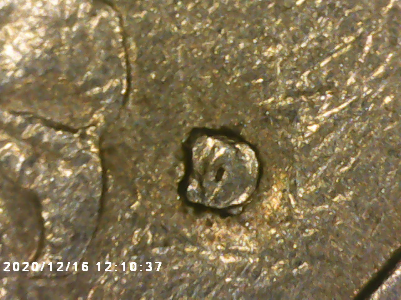 What-Do-You-Think?can-You-See-What-I-See?--1983-D-Quarter