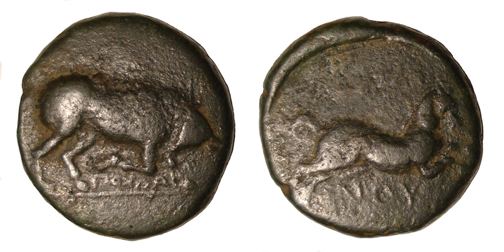 My-First-Animal-On-A-Coin.