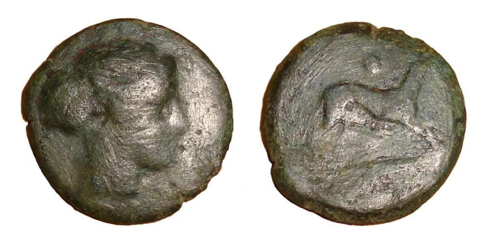 My-First-Animal-On-A-Coin.