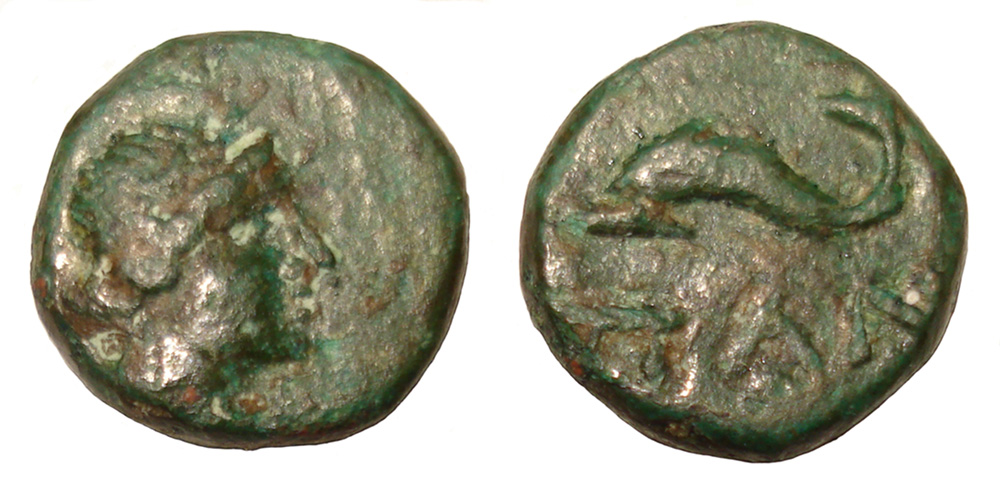 My-First-Animal-On-A-Coin.