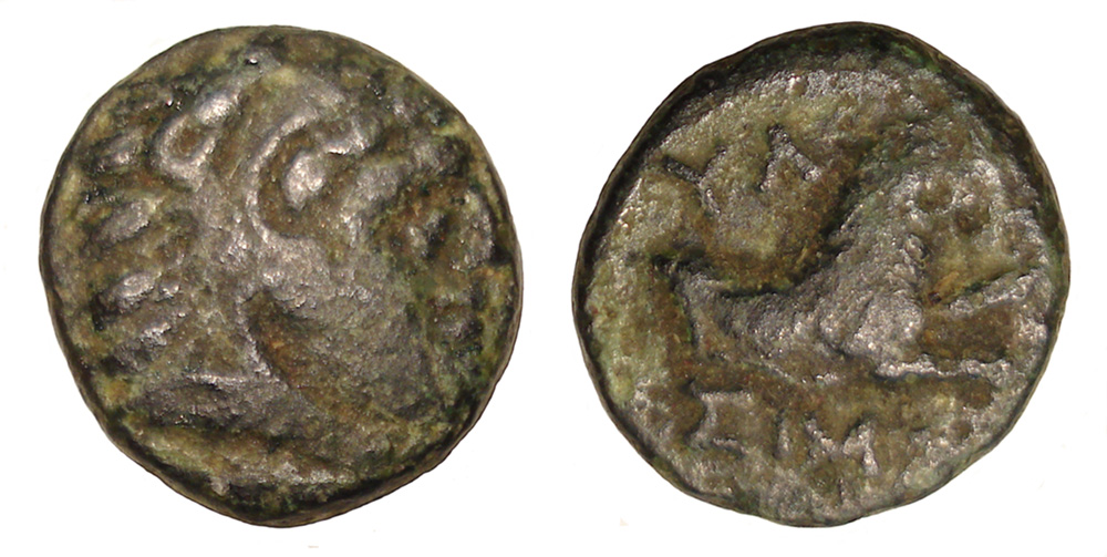 My-First-Animal-On-A-Coin.