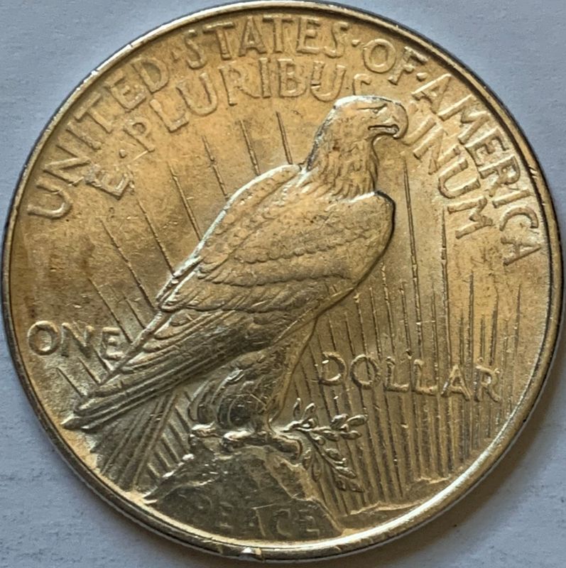 1922-Silver-Peace-Dollar---Grading-Help-Please
