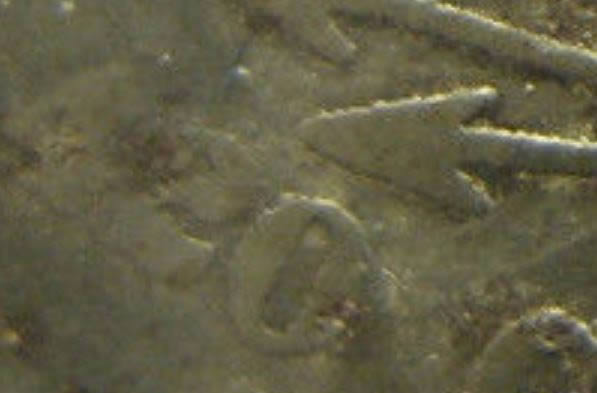 Counterfeit-1877-CC-Trade-Dollar