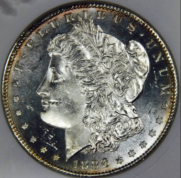 Looks-Like-An-Excavation-On-Her-Cheek,-1886-S-Morgan...