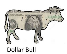I-Have-Dollar-Bulls-With-Funny-Serial-Numbers