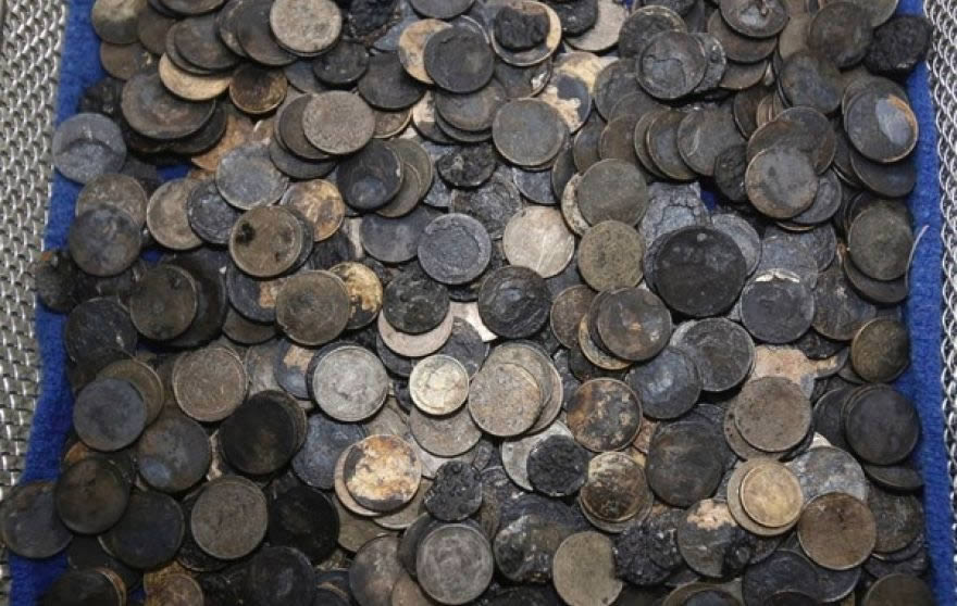 Sea-Turtle-Likes-Coins