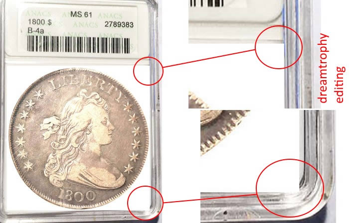 Really-ANACS?!!--1800-Bust-Dollar.--This-Cannot-Be-Right!