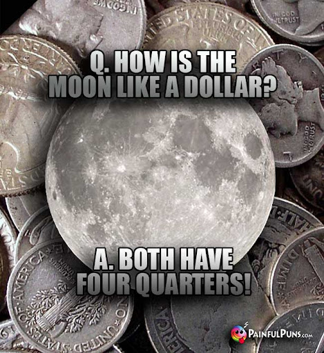 Coin-Collector-Humor