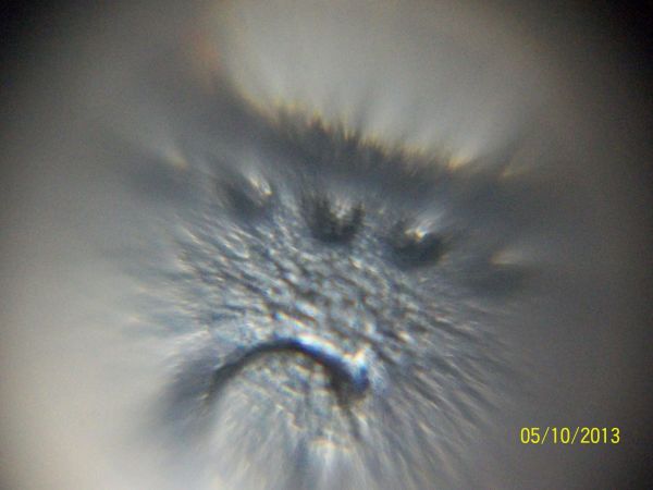 Another-Five-Cent-Mystery
