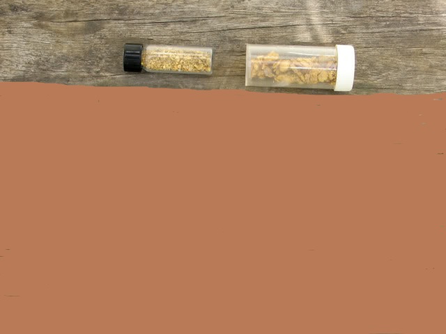 Has-Anyone-Panned-For-Gold?