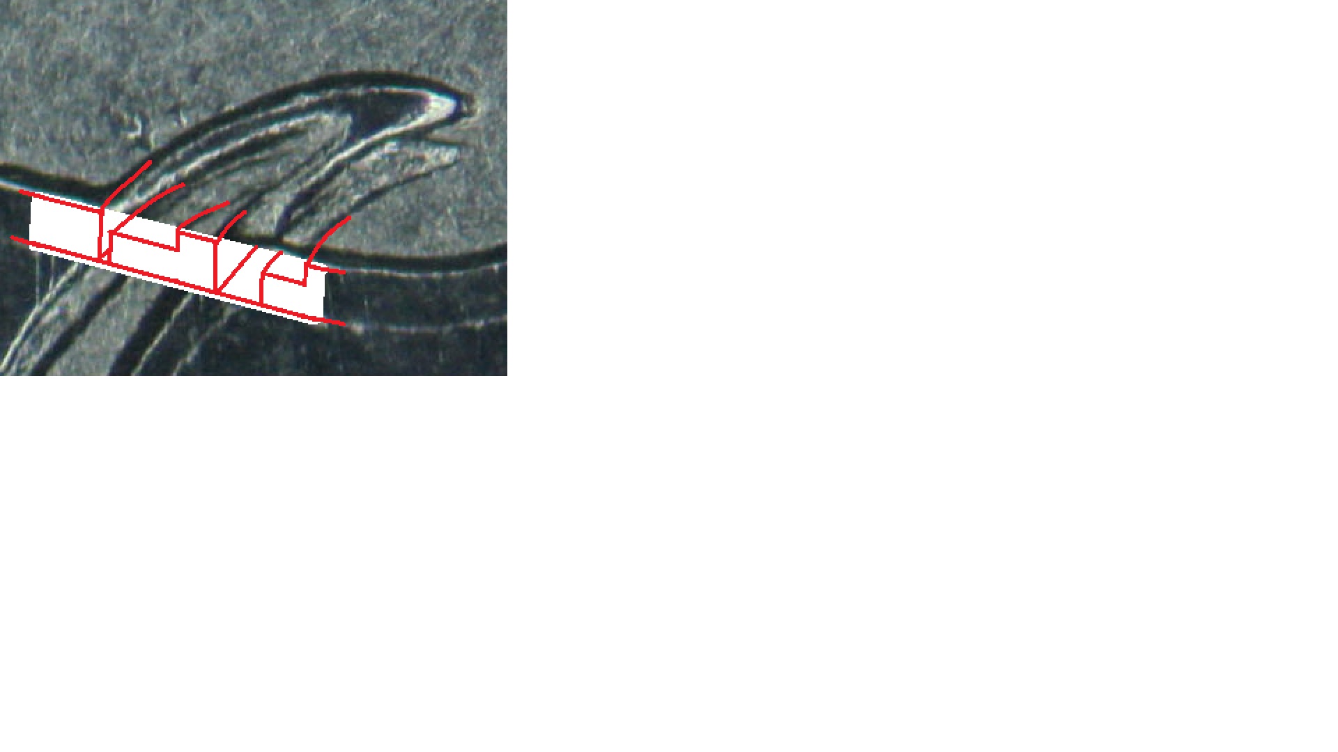 1971-Nickel-Dollar-British-Columbia---Reverse-Doubling-Close