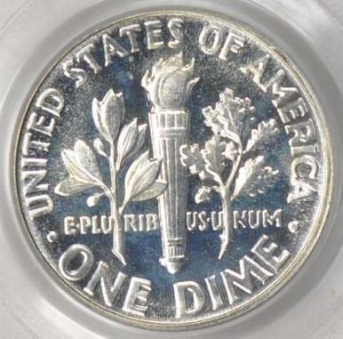 You-Vs.-PCGS:-1955-Roosevelt