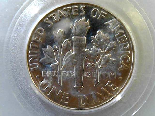 You-Vs.-PCGS:-1955-Roosevelt