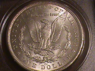 Please-Guess-Grade-83-CC-Morgan