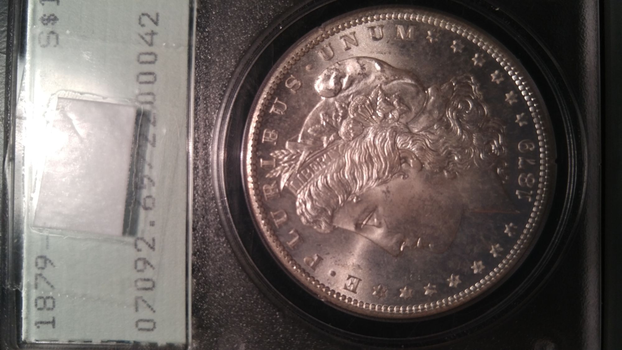 1879-S-Morgan-Dollar---Guess-The-Grade-On-The-Rattler...