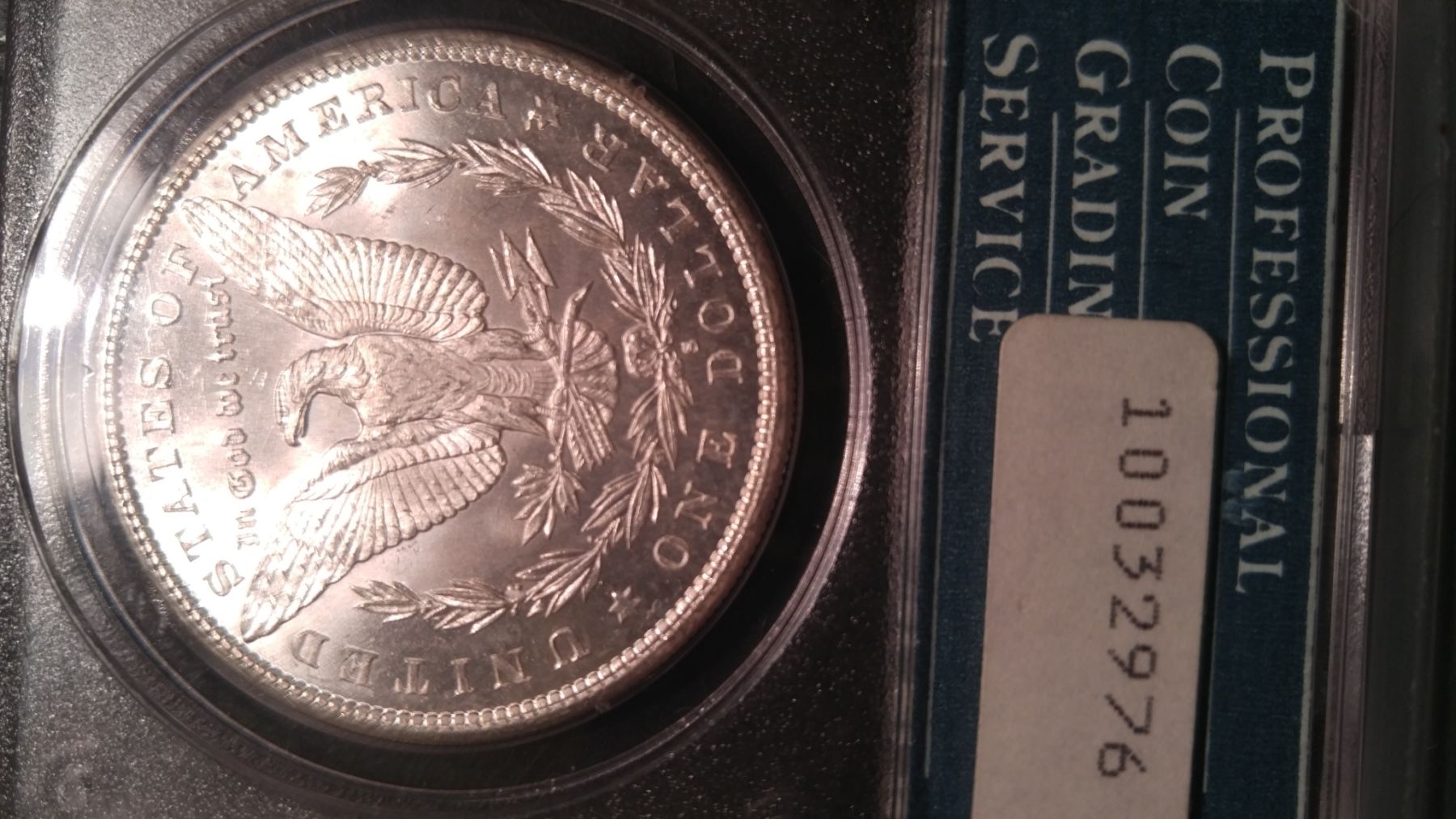 1879-S-Morgan-Dollar---Guess-The-Grade-On-The-Rattler...