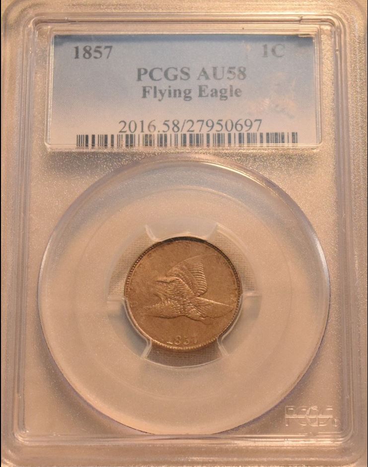 What-Is-Your-Opinion-Of-Grade-On-This-TPG-1857-Fec?