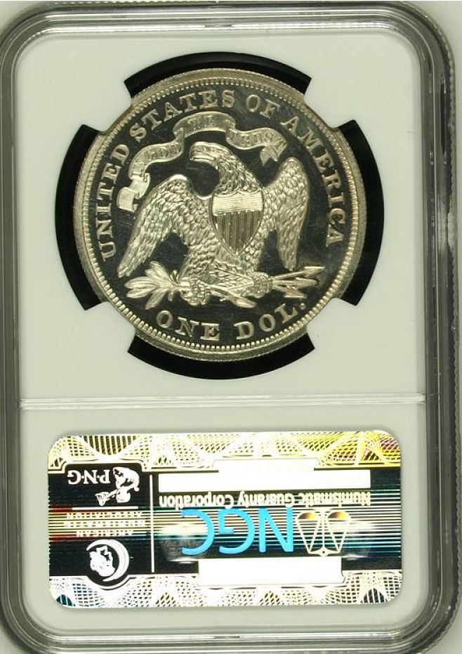 1873-Seated-Dollar---Is-It-Undergraded?