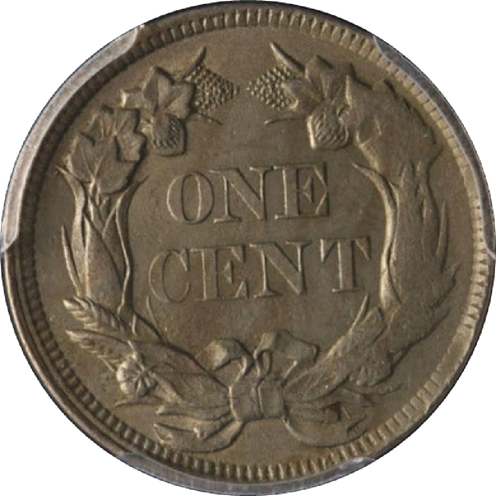 Numismatic-Newbie's-US-Copper-Nickel-Silver-Short-Type-Set
